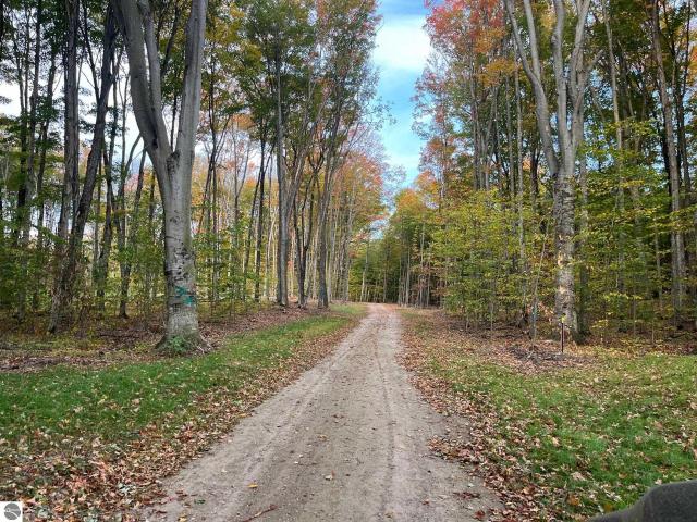 Land for sale in Michigan