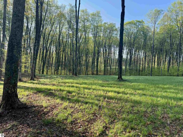 Land for sale in Brightland Woods, Kasson Township