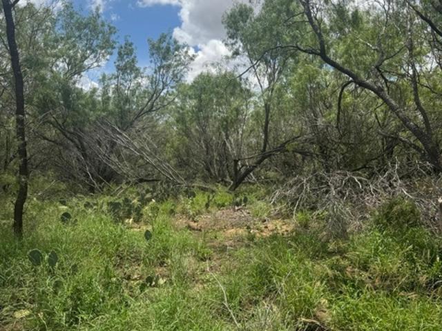 Land for sale in Jourdanton, Texas
