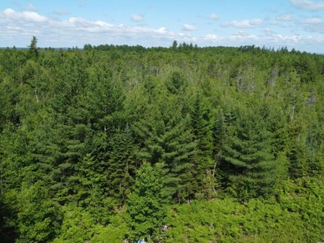 Land for sale in Greenbush, Maine