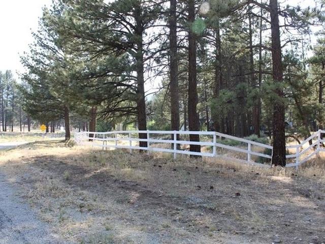 Land for sale in Mountain Center, California