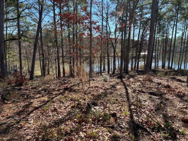 Land for sale in Many