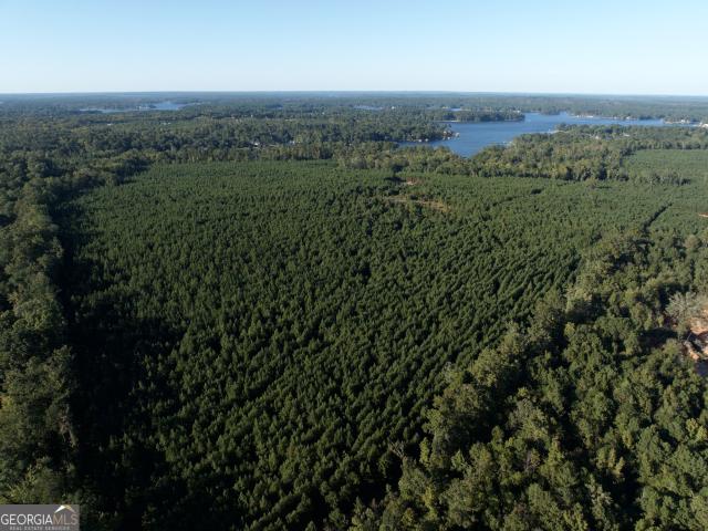 Land for sale in Baldwin, Georgia