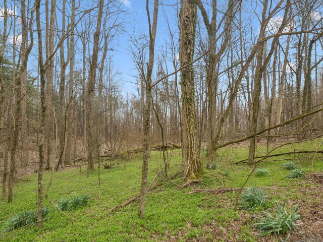 Land for sale in Tennessee