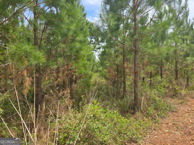 Land for sale in Schley, Georgia