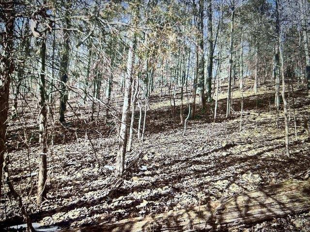Land for sale in Cadiz, Kentucky