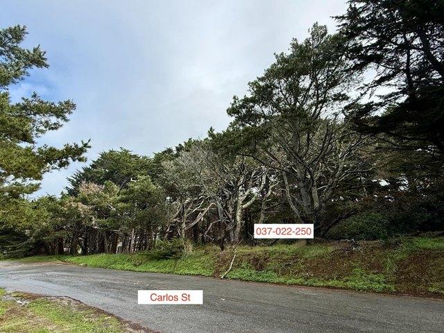 Land for sale in San Mateo, California