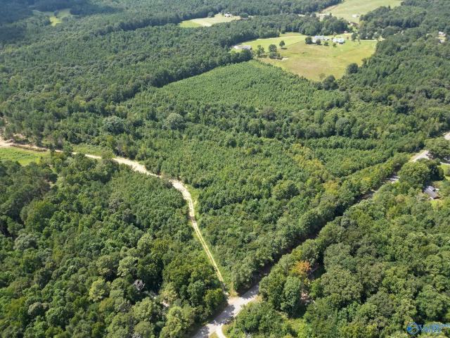 Land for sale in Shady Grove, Boaz