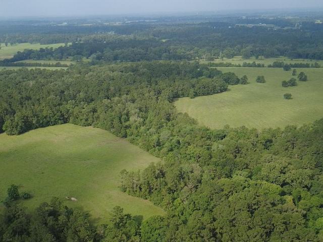 Land for sale in Walker, Texas