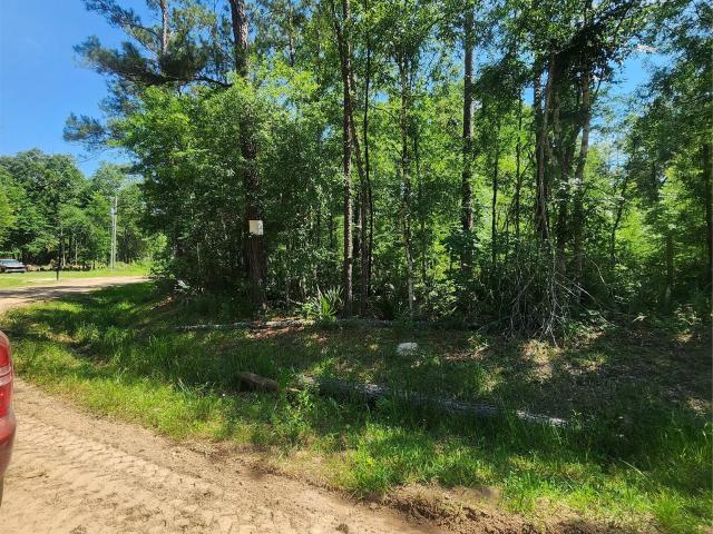 Land for sale in Shepherd, San Jacinto County