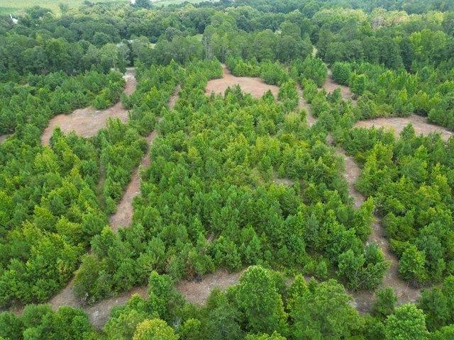 Land for sale in Goshen, Alabama