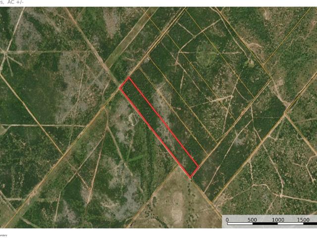 Land for sale in George West, Live Oak County