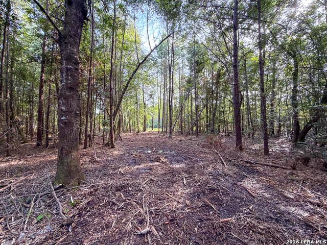 Land for sale in Saratoga, Texas