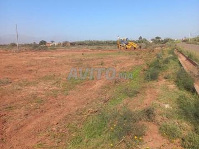 Propriété vente à Ouled, Oued ed Dahab-Lagouira