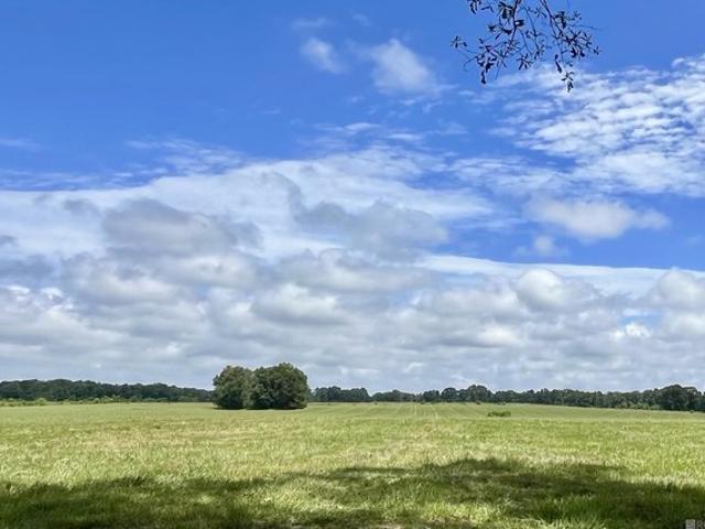 Land for sale in Slaughter, East Feliciana Parish