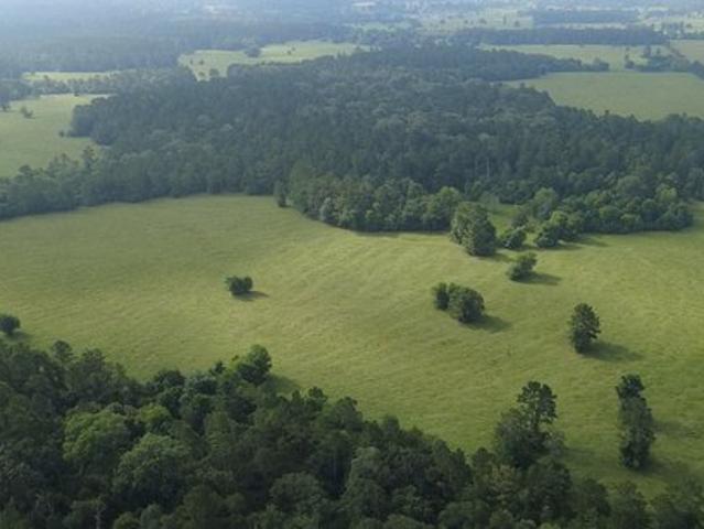 Land for sale in Walker, Texas