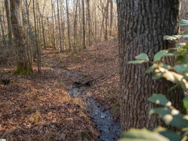 Land for sale in Liberty, South Carolina