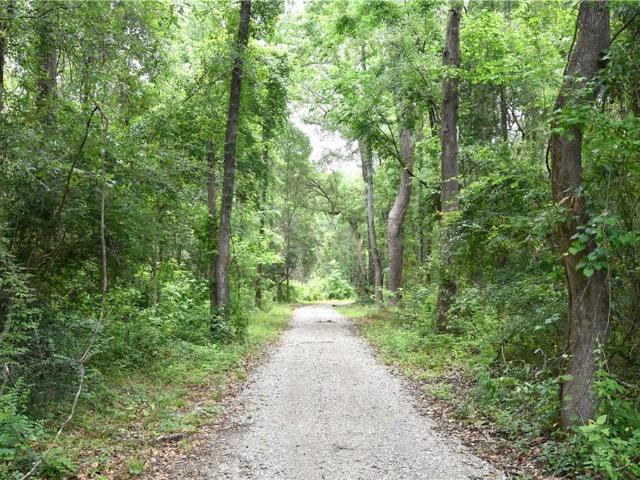 Land for sale in Lacombe, Louisiana