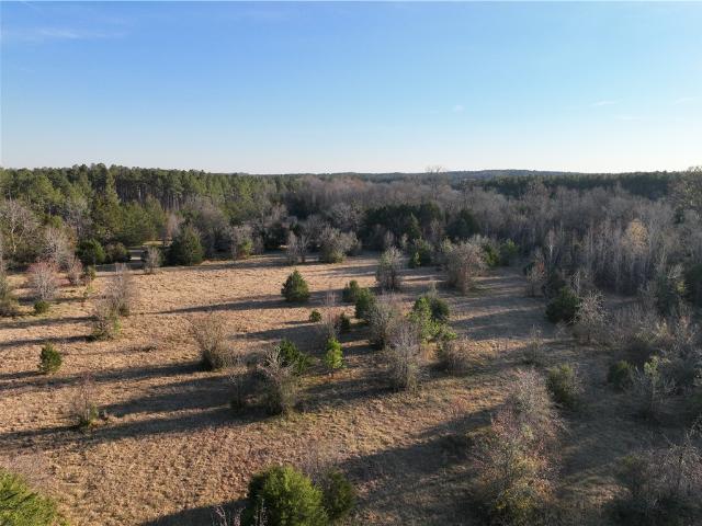 Land for sale in Calhoun Falls, South Carolina