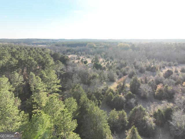 Land for sale in Calhoun Falls, South Carolina