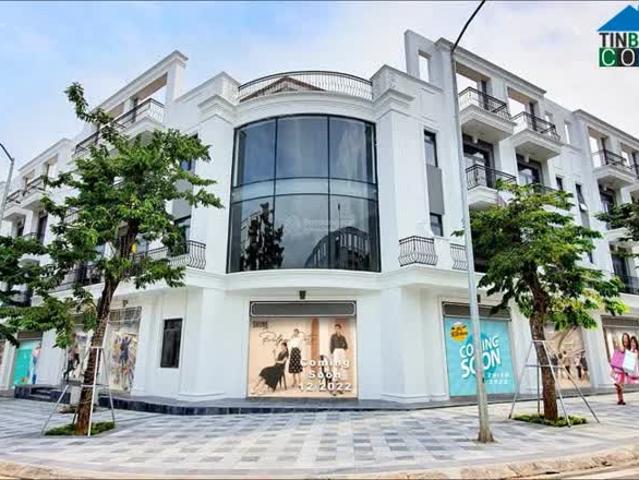 Biệt Thự bán