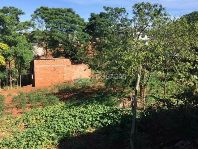 Terreno venda em Passo Fundo