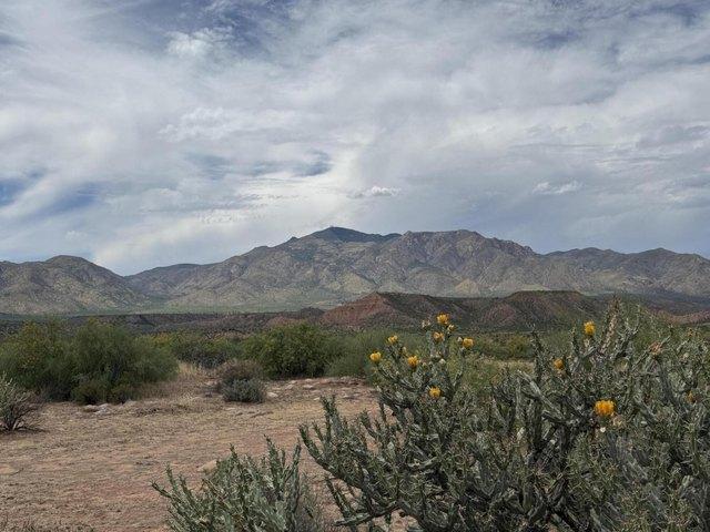Land for sale in Gila, Arizona