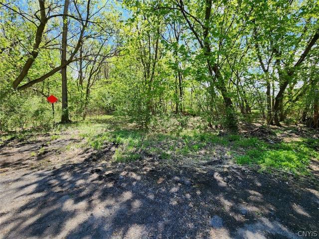 Land for sale in Jamesville, New York