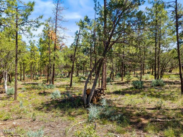 Land for sale in Navajo, Arizona