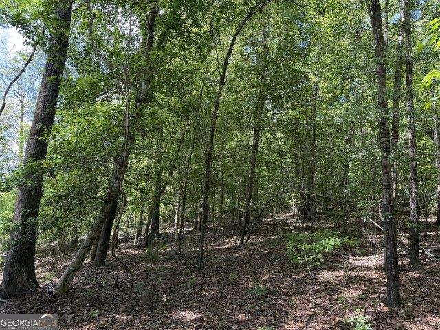 Land for sale in Toomsboro, Wilkinson County