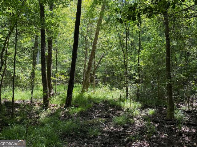 Land for sale in Toomsboro, Wilkinson County