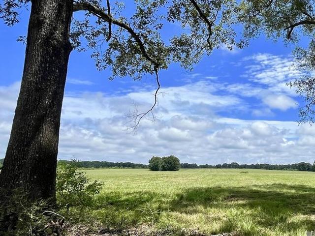 Land for sale in Ethel, Louisiana