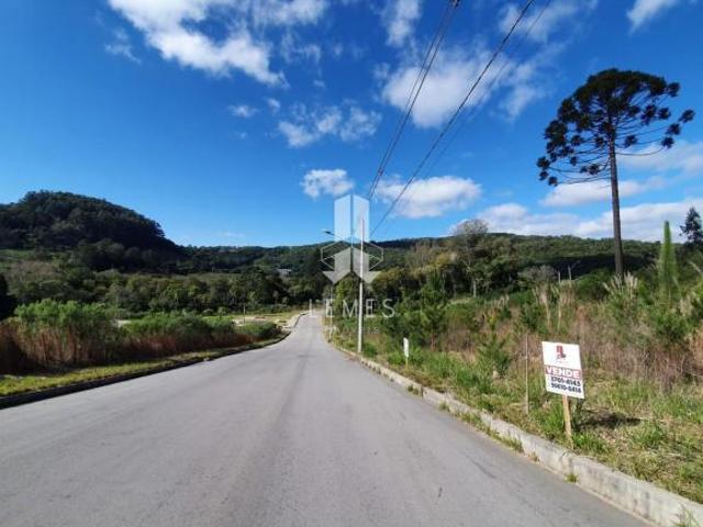Sítio e chácara venda em Região Geográfica Imediata de Bento Gonçalves, Bento Gonçalves