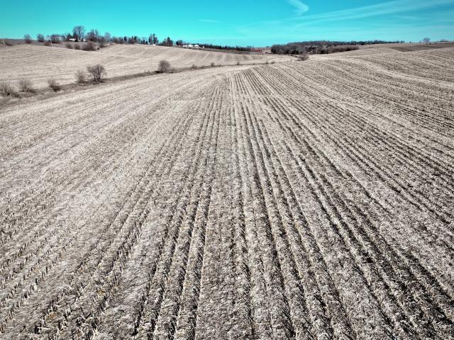 Land for sale in Laurel, Iowa