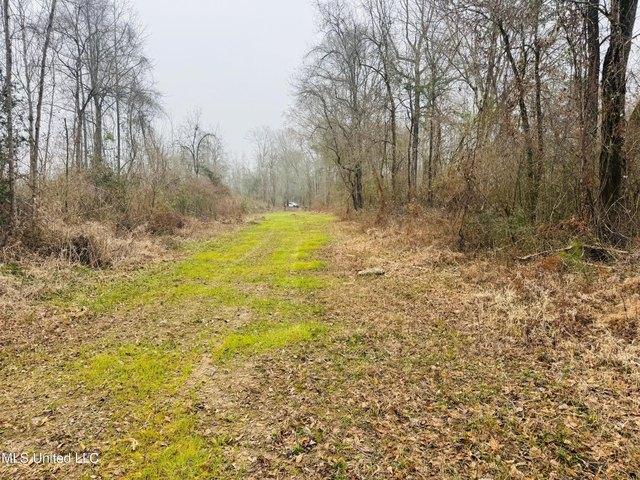 Land for sale in Tylertown, Mississippi