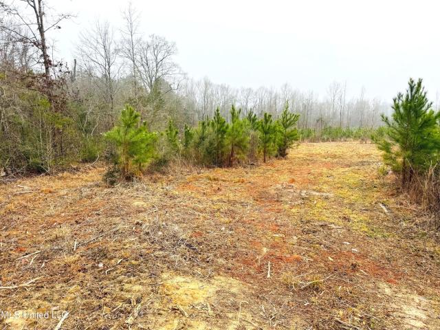 Land for sale in Tylertown, Mississippi