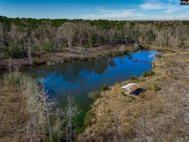 Land for sale in Chapin, South Carolina
