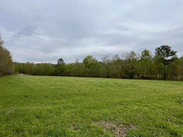 Land for sale in Saint Amant, Louisiana
