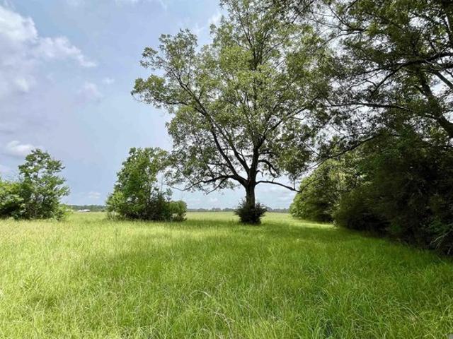 Land for sale in Ethel, Louisiana