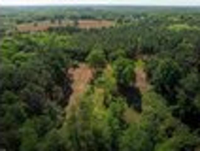 Land for sale in Liberty, South Carolina
