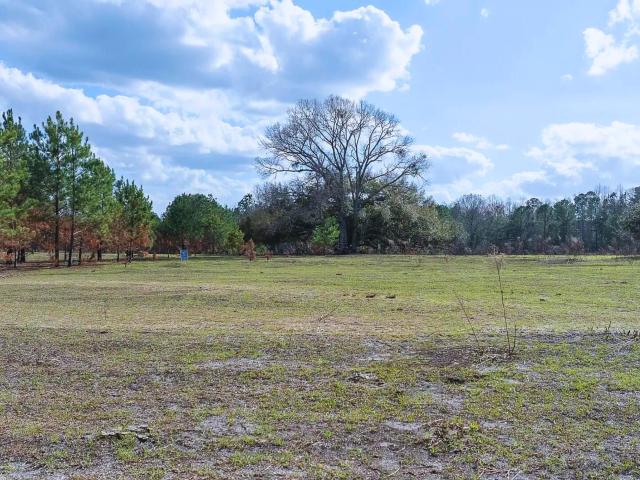 Land for sale in Manning, South Carolina