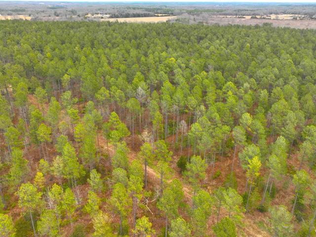 Land for sale in Calhoun Falls, South Carolina