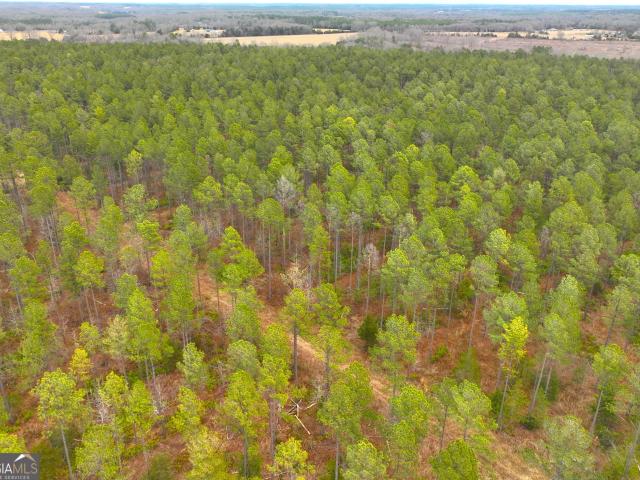 Land for sale in Calhoun Falls, Abbeville County