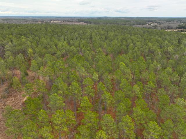Land for sale in Calhoun Falls, South Carolina