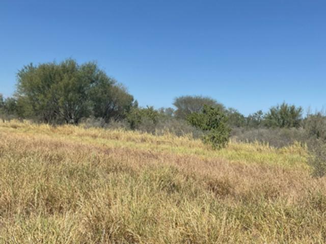 Land for sale in La Salle, Texas