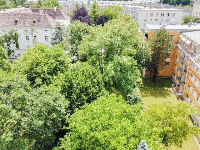 Apartment kaufen in Gainfarn, Bad Vöslau