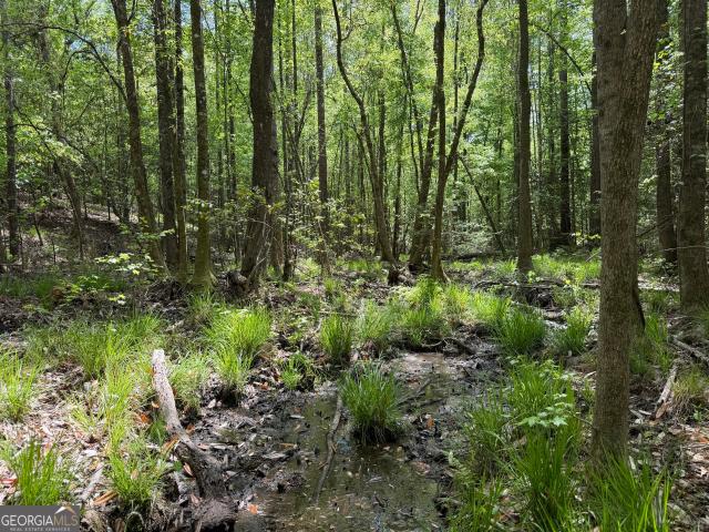 Land for sale in Cuthbert, Georgia