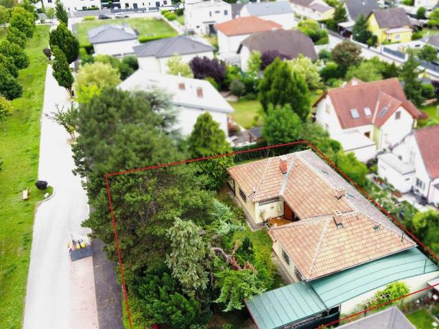 Haus kaufen in Leopoldsdorf im Marchfelde, Niederösterreich