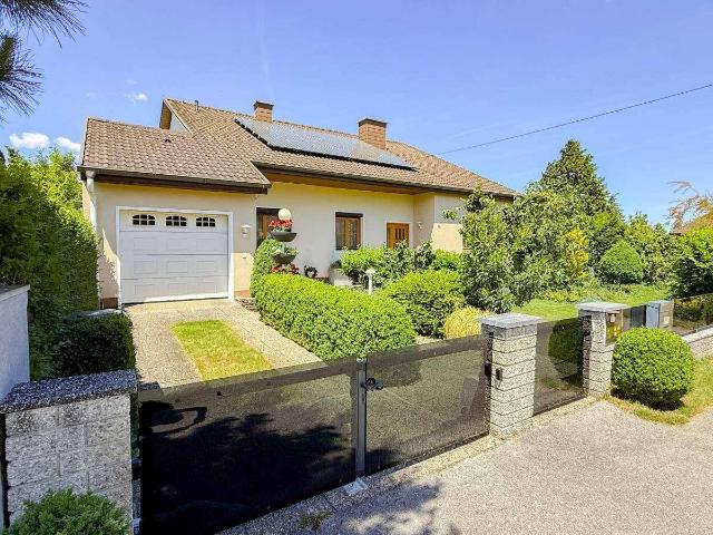 Haus kaufen in Felixdorf, Niederösterreich