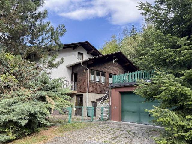Haus kaufen in Hochneukirchen-Gschaidt, Niederösterreich